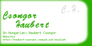 csongor haubert business card